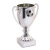 football-trophy-marble-cup-silver-500x500.jpg