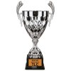GOS Cup - 2023-24 Winner.jpg