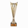 Mini-League Trophy - 2023-24 Winner.jpg