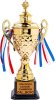 GOS League Champion - 2023-24 Winner.jpg